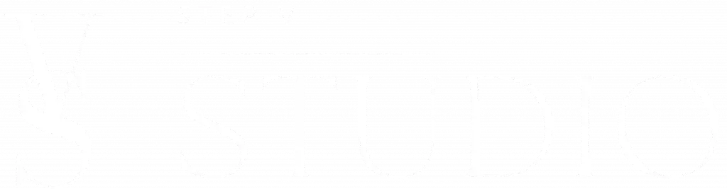 Elegant modern logo for creative branding and photography studio.